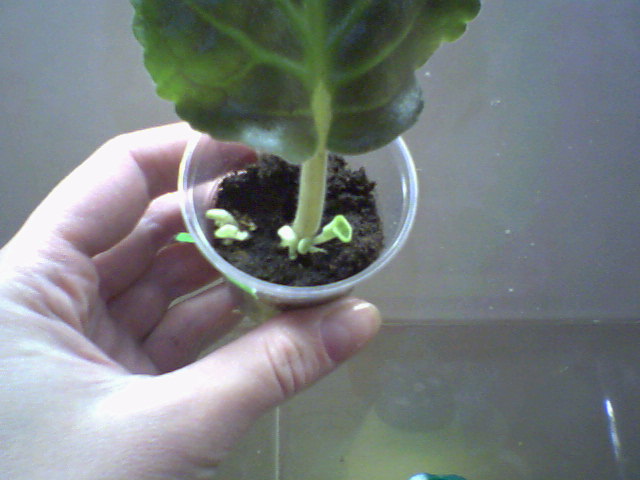 &amp;quot;Galactic Dansing&amp;quot;