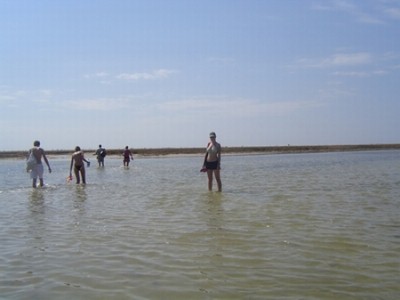 Это дорога до пяжа