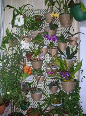 Rotation of DSCN3175.JPG