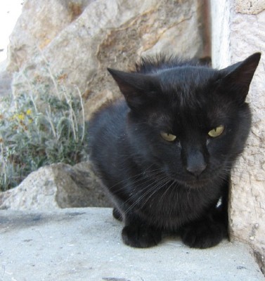 Вот он, гордо и устало взирающий на нас, презрев пучину, что разверзлась у его лап...