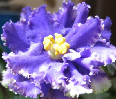 И все равно - он очень симпатичный мальчик!