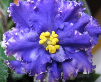 Немного светло-желтых бликов у него есть