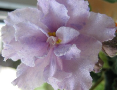 ЕК-Фантастический Сон