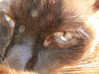 Как же ты меня достала...