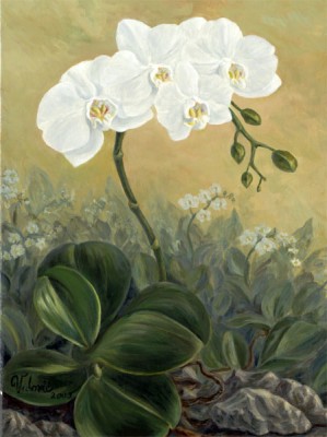 phalaenopsis_kartina.jpg