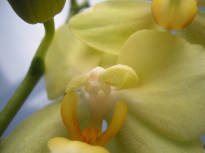 3.09.07 (Д.р.Б) 037.jpg