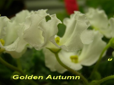 Другой ракурс