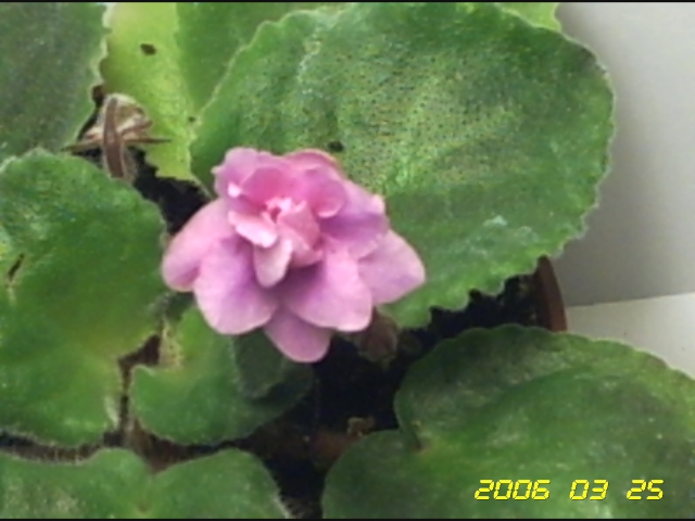 Вот такая она...