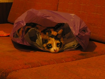 Хорошо лежим.