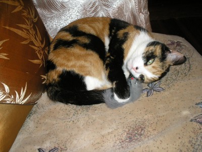 Любимая игрушка