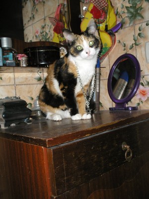 Металлистка