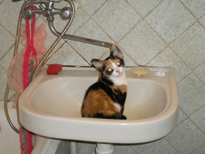 Пора купаться!