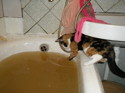 про экологию