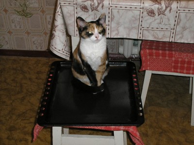 Это мы готовили пиццу