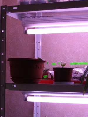 крепление ламп. Как придумали.. :))