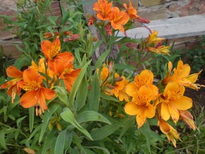  (весна 2007).jpg