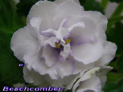 Достался мне уже большим