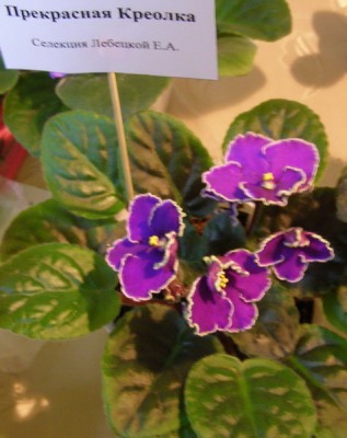 ЛЕ-Прекрасная Креолка