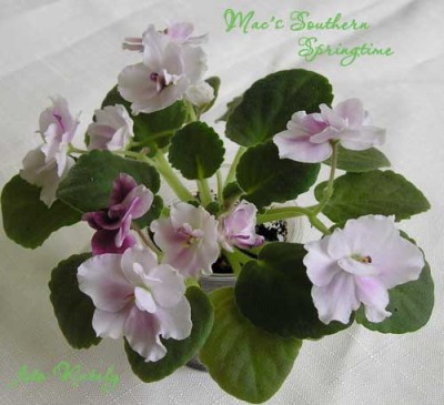 Всегда шедевр!