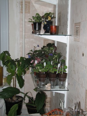 Так стелаж выглядит, когда заходишь на кухню