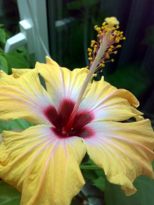 Второй день