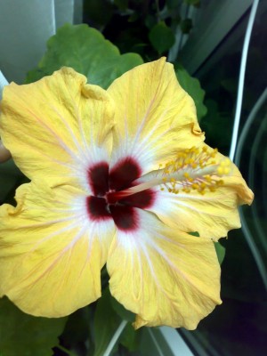 Первый день