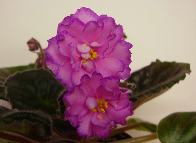 2007 10 22 19 37 1.jpg