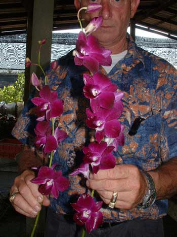 Den. Red Bull (размер цветения)   є1.68  .jpg