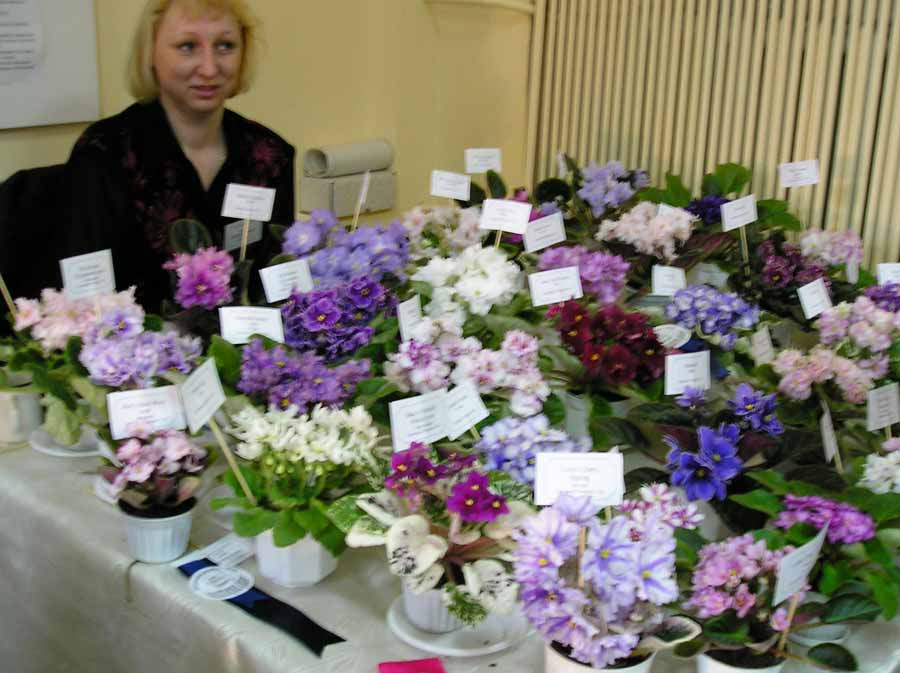 Это Света Репкина и её коллекция - обладательница Золотой Розетки и Диплома победителя выставки