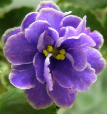 ЕК-Жемчужина Байкала