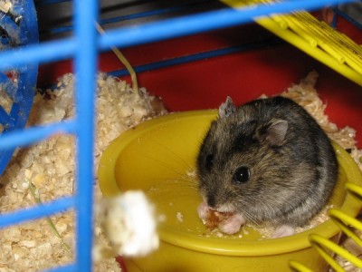 Вот такие они малышки