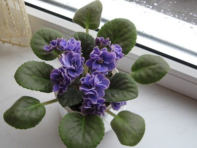 ЕК- Жемчужина Байкала