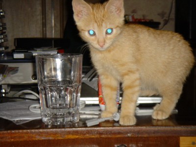 А была когда-то такой пузатой мелочью )))))