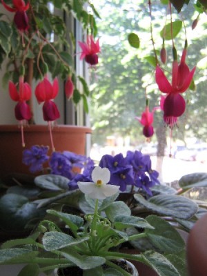 Просто лето