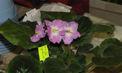 Еще один спорт