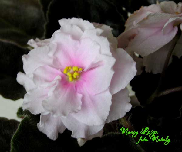 Спорт от Nancy Leign