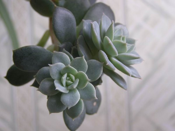 размера P2241217.JPG