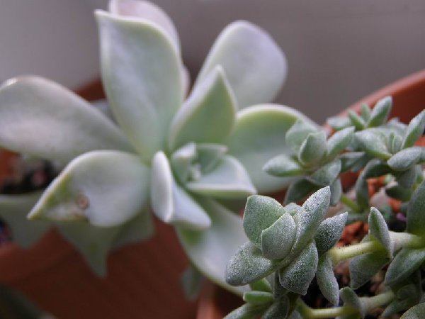 размера P2241221.JPG