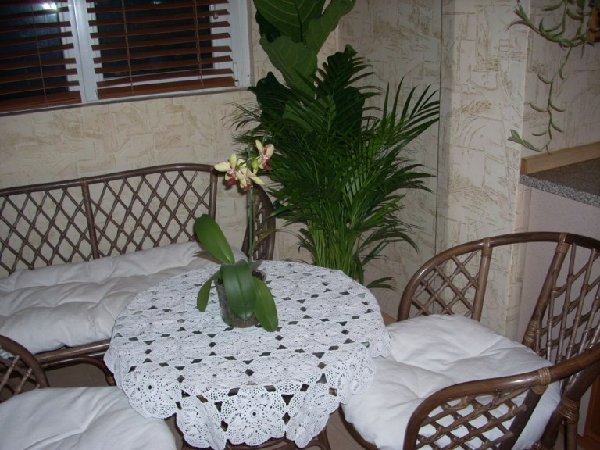 для форума.jpg