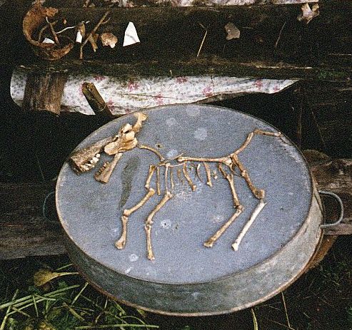 Лишние детали!