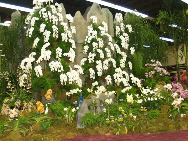 Miami WOC-Jan2008-0234.jpg