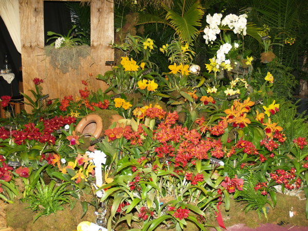 Miami WOC-Jan2008-0240.jpg