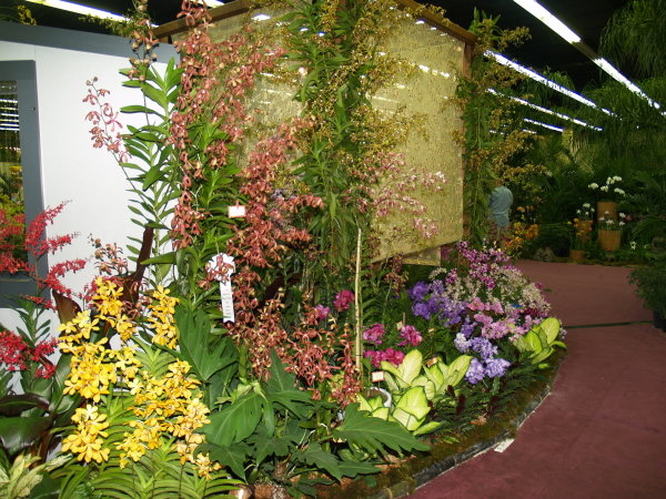 Miami WOC-Jan2008-0245.jpg