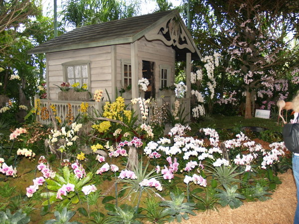 Miami WOC-Jan2008-0256.jpg