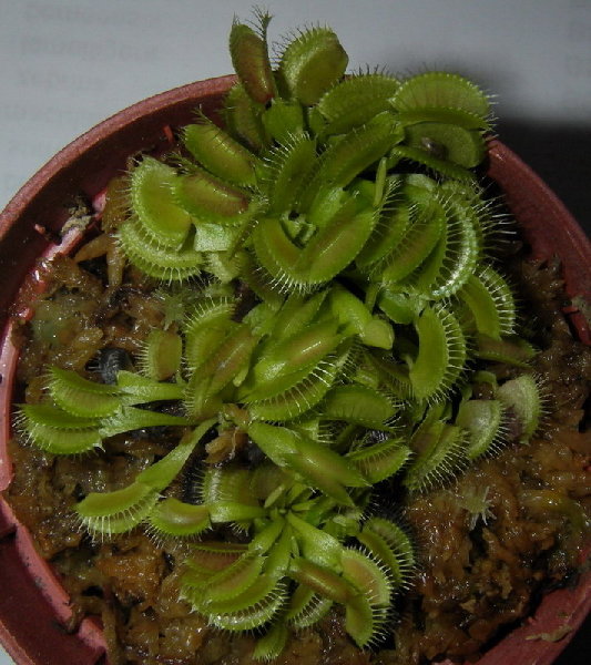 И они 22.03.2008