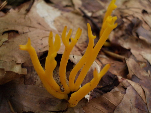 не знаю что такое...