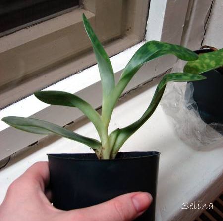 Вид сбоку - новая розетка