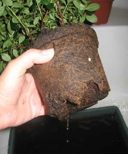 начала снизу