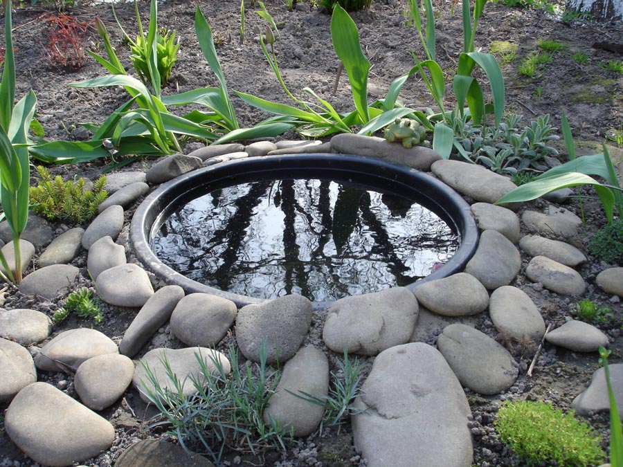 Зеленая подружка