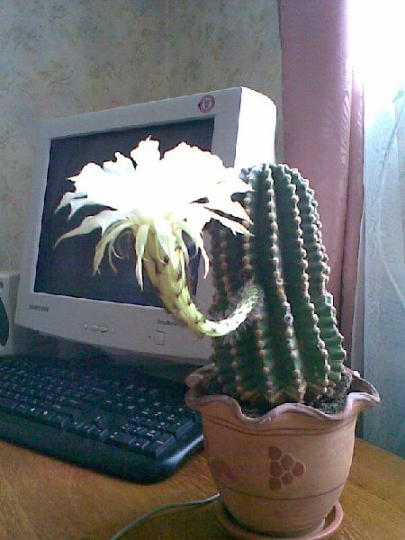 фото 3х летней давности!